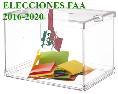 ELECCIONES1620