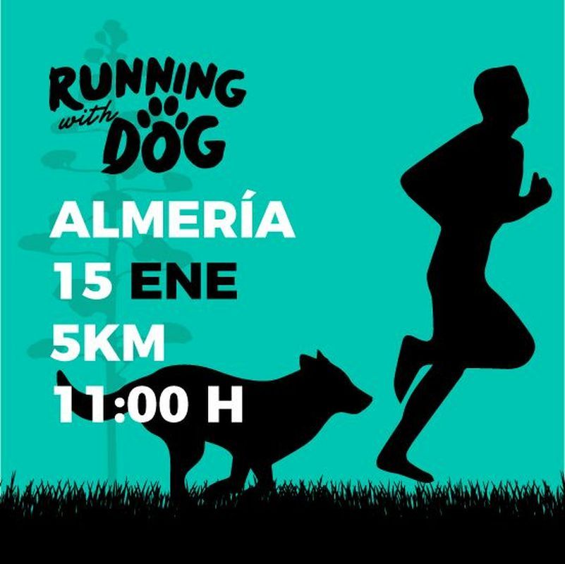 runningdog17