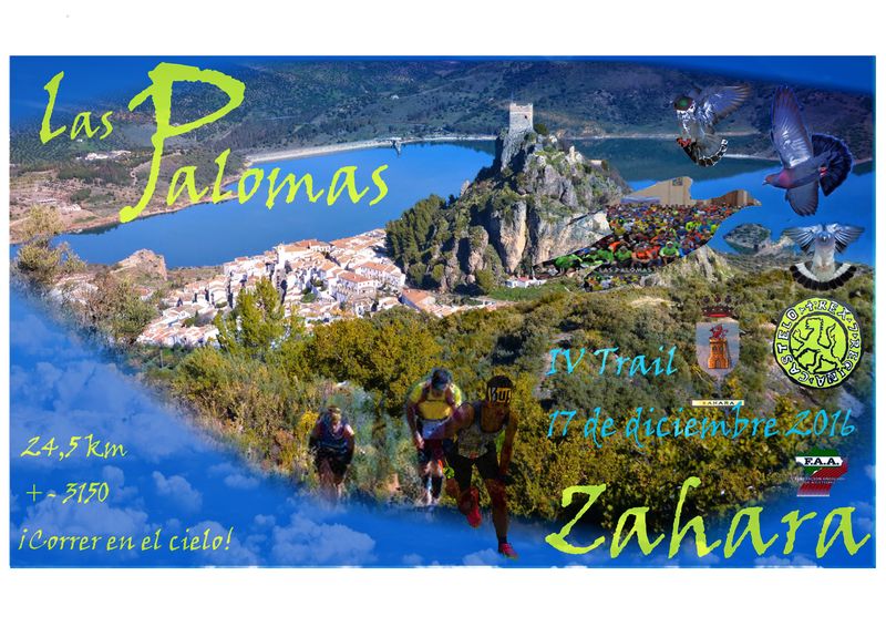 trailpalomas16